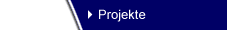 Projekte